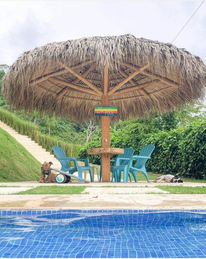 Dali Boutique Apartments Playa Santa Teresa  Экстерьер фото